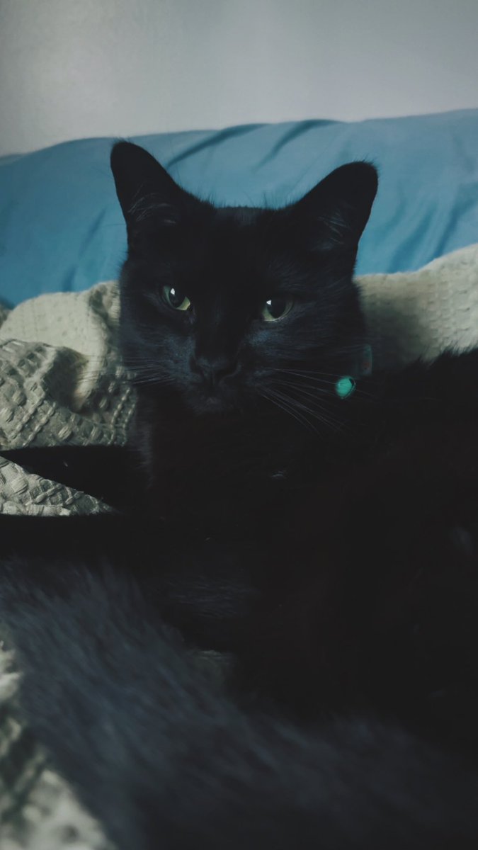 ✰ 𝖛𝖎𝖈  tweet media