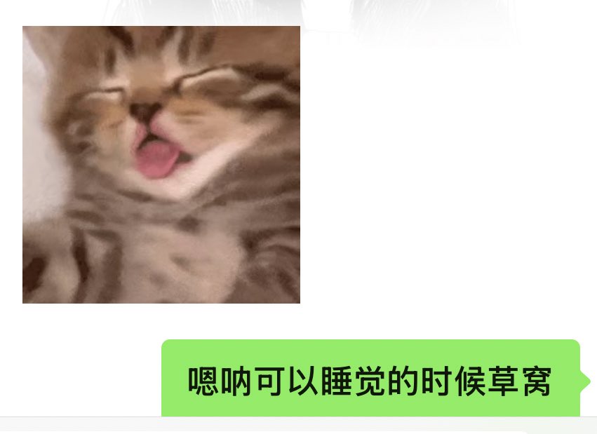 小狗变的૮ ・ﻌ・ა tweet media