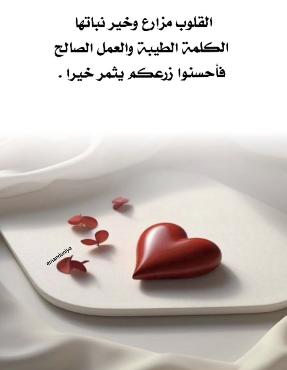 سنفورة 👒 tweet media