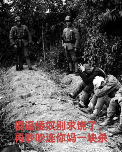 右翼鬼子与贱狗青鸟最严厉的父亲 tweet media