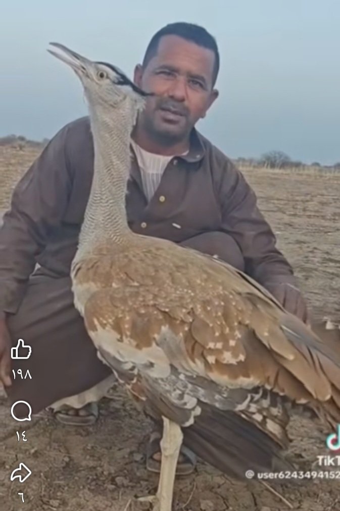 زاهد الثانى عشر tweet media