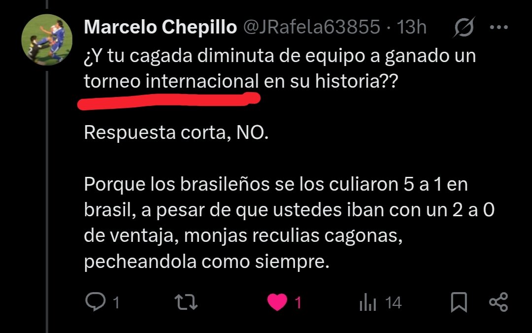 Marcelo Chepillo tweet media