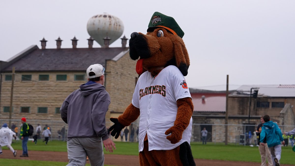 Minor League Baseball tweet media