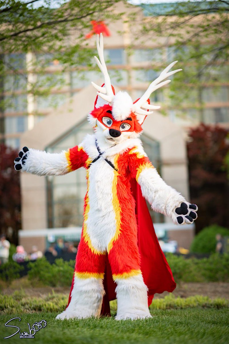 Whitestar_001 tweet picture