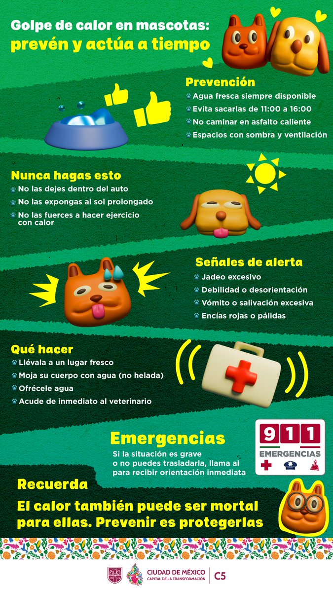 C5_CDMX's tweet image. 🌞 Ante las temperaturas altas tus #mascotas también requieren cuidados. 🐶🐱

🥵 Un golpe de calor puede ser fatal, sigue nuestras recomendaciones y sugerencias, prevenir es protegerlas ☂️🥤❤️

☎️📲 En caso de emergencia llama de inmediato al #911CDMX para la orientación