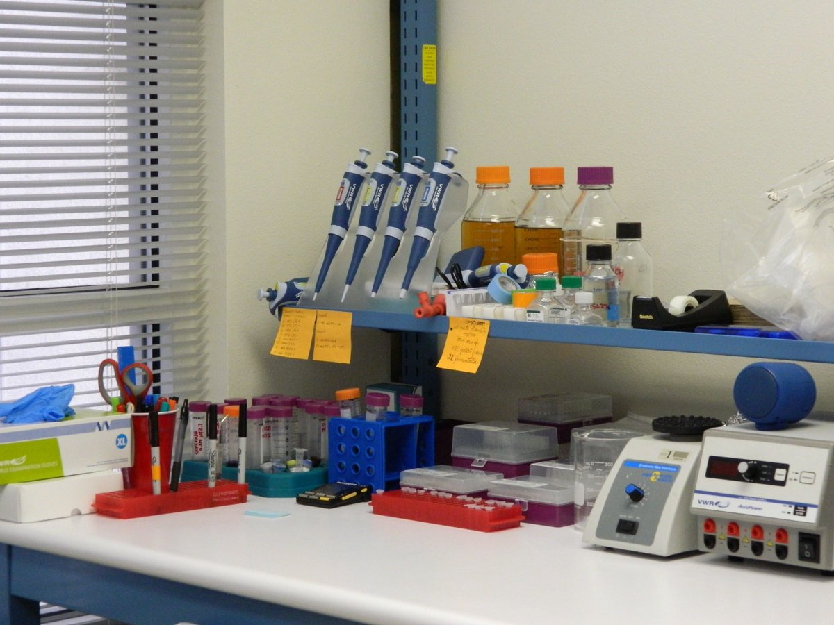 The BioScience Ctr tweet media
