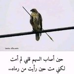 iiiFerX tweet media
