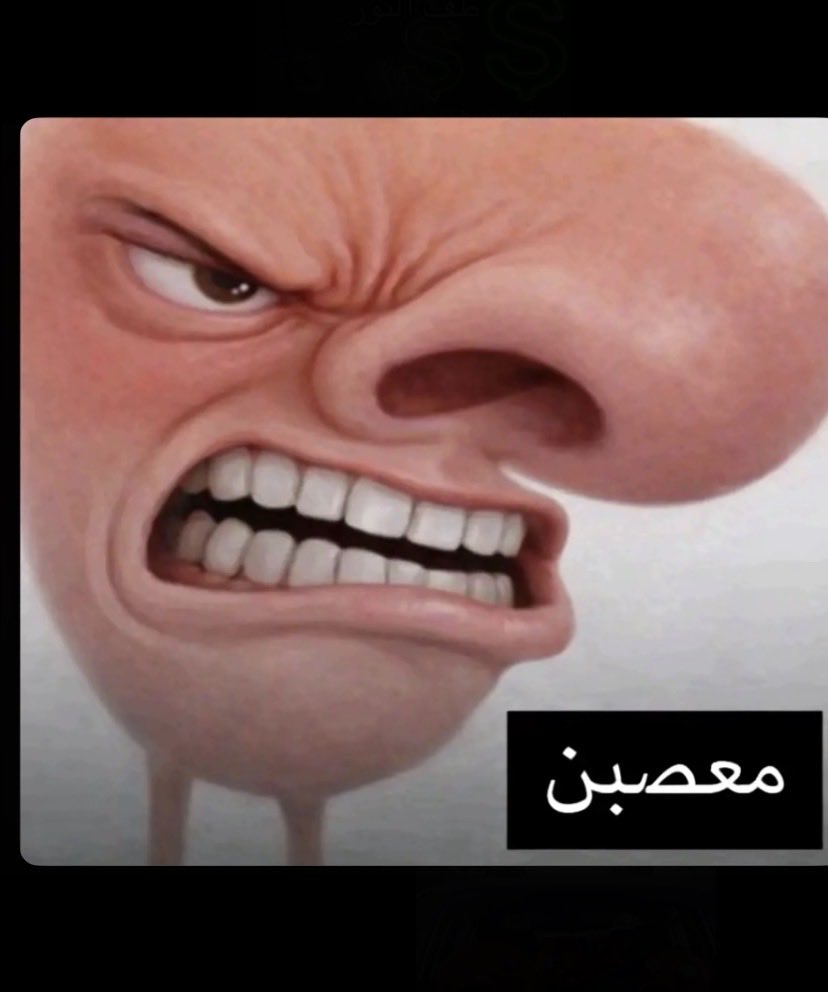 ☈ ┃Miro tweet media