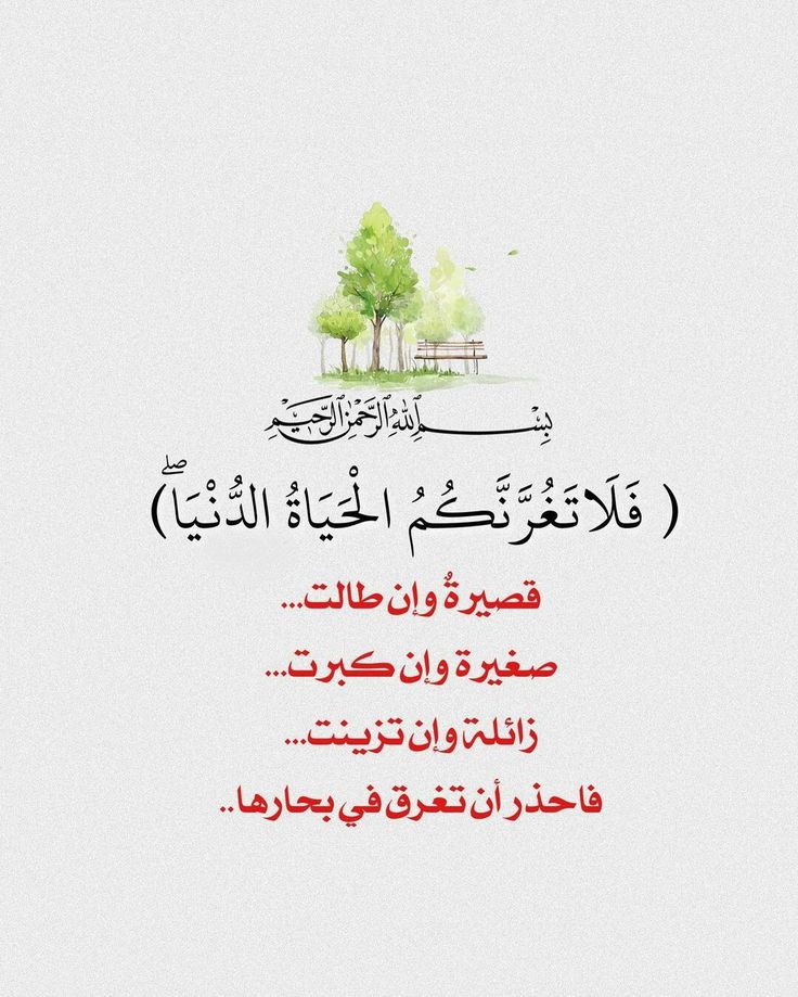 💮🌷الــــريــم🌷💮 tweet media