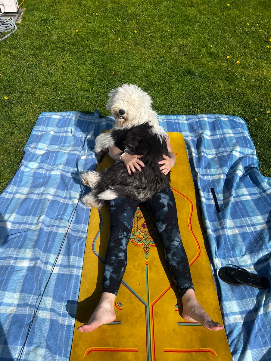 Mopsy & Maggy tweet media