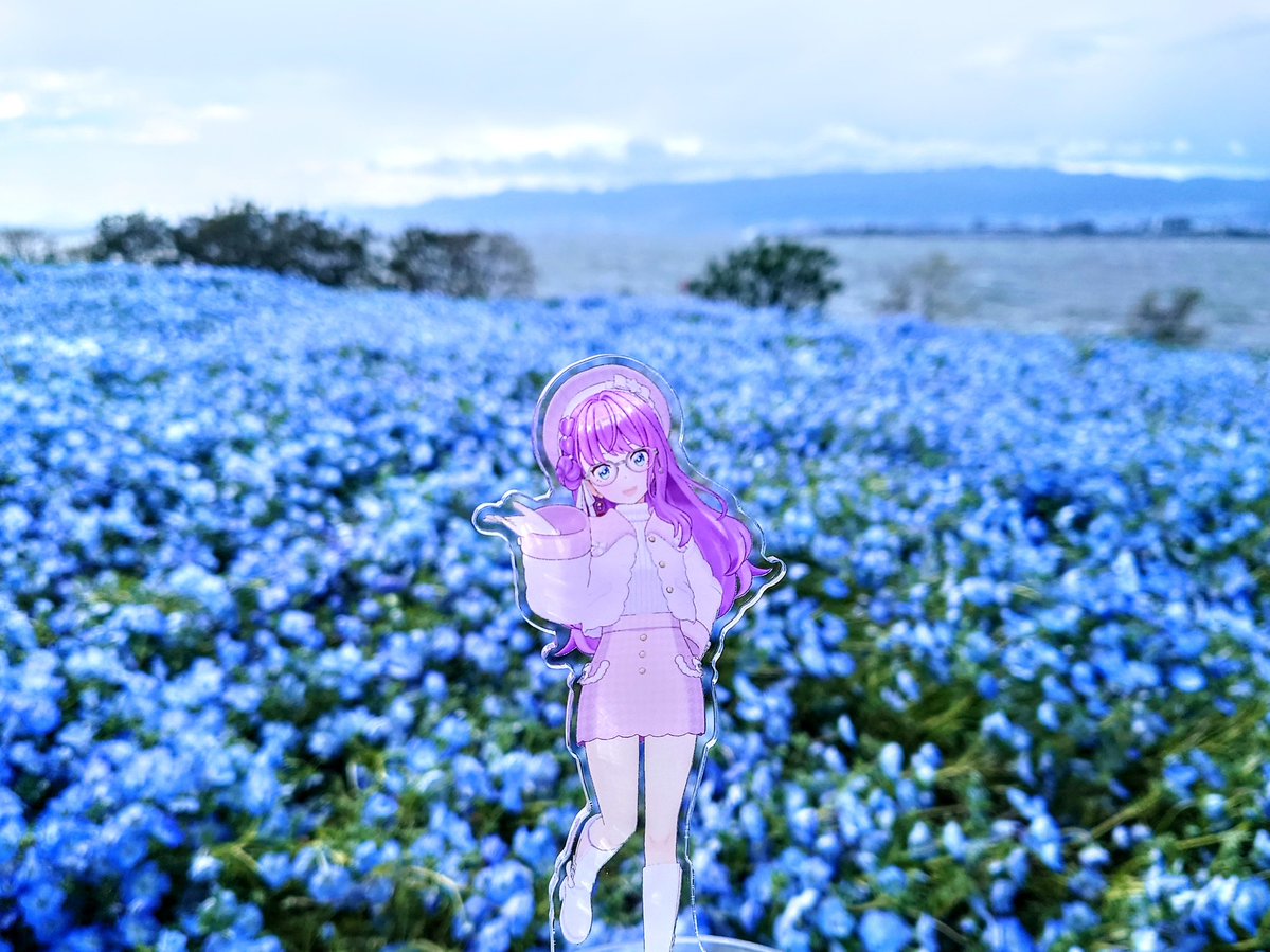 五十鈴蘭 tweet media
