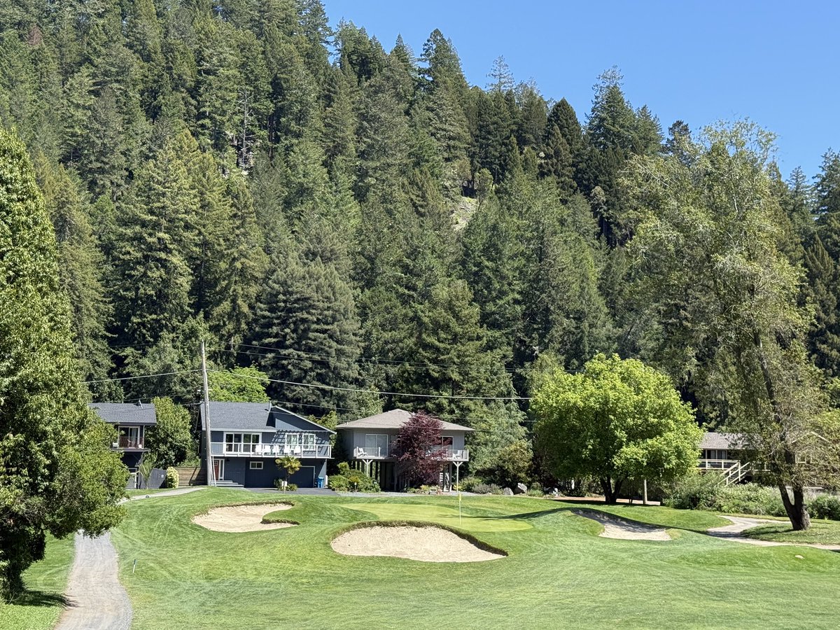 Top100Rick's tweet photo. Northwood Golf Club
Alister MacKenzie - 1928
Public - $32 for 9 holes

In between designing Cypress Point and Augusta National, Alister MacKenzie stopped near Napa, CA to design this truly unique gem. 

Sitting below and between giant redwoods, it’s an experience like no other. Built by members of the ultra secret Bohemian Grove, it’s full of history and the people who have played here are almost the most rich and powerful. 

But for us, it’s a $32 gem.

Yes, it’s tight. Yes, the fairways are soft and furry. Yes, the greens run at a 6 stimp. It doesn’t matter, it’s so fun. 

The greens are small with lots of movement. Super fun to chip and putt on. Not your normal $32 green fee green complexes. 

But let’s be real, the trees are the story. To be amongst these giant beauties is to be one with a past time, 500 or even a 1000 years in the past. They are unique hazards, with bounces that can go anywhere. Work on your punch shots!

It’s a joyful walk. As peaceful as it gets. 

Northwood officially makes my “Pilgrimage List”. A place that all golfers should visit once in their life.