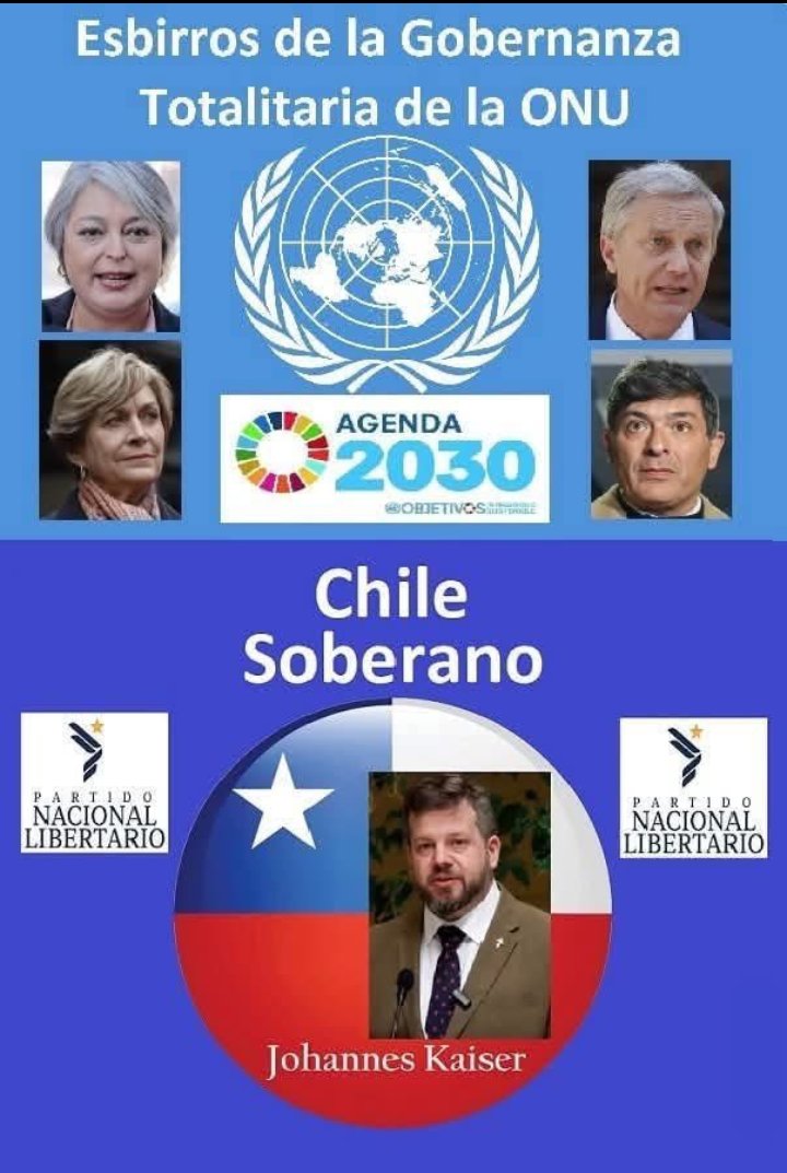 Alberto ⭐ 🇨🇱 #ChileNoCaerá tweet media