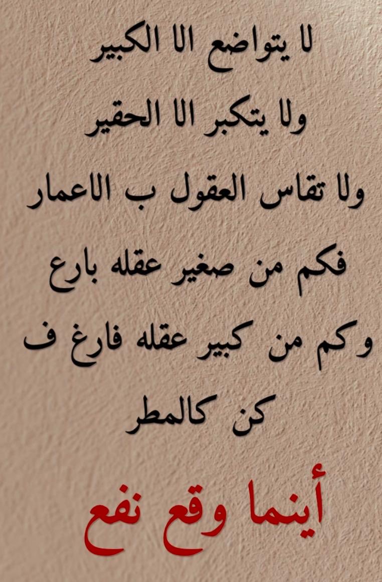المدربة .أميمة الشنقيطي tweet media