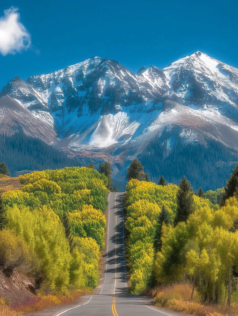 Norway_Pine's tweet image. Colorado 🇺🇸