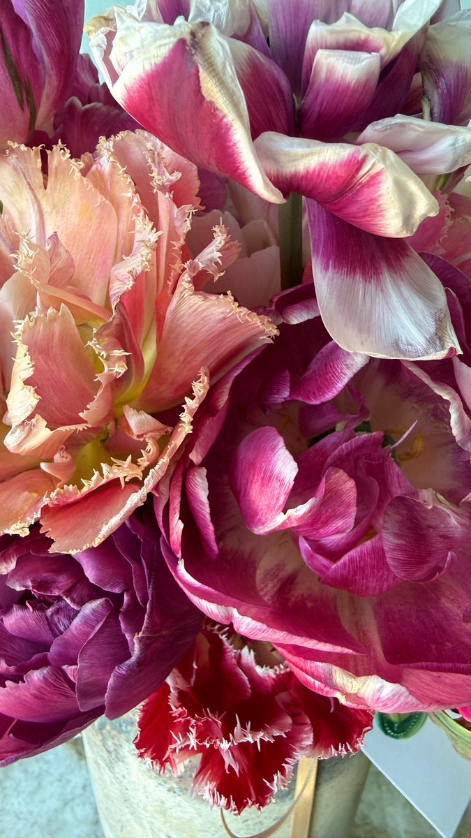 Erin Medina 🌿 NYC & Beyond tweet media