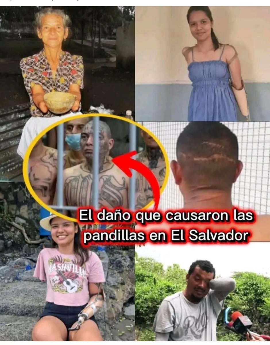 MrFender 🇸🇻 tweet media