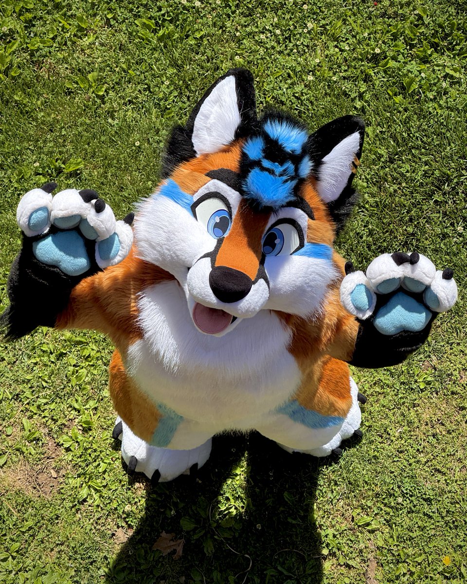 Ari 🦊 tweet media