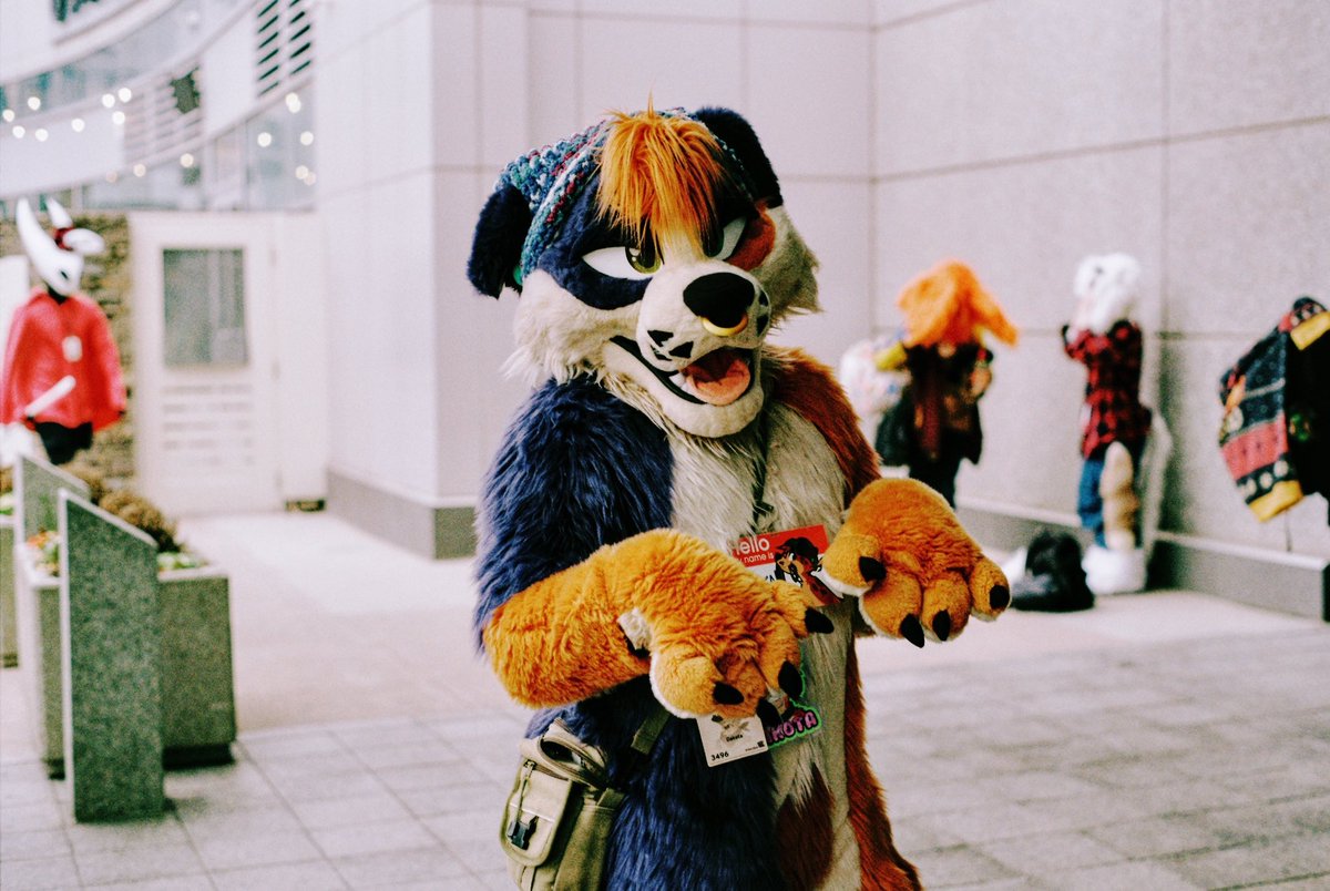 🌿Dog With A Blog🌿🔜AnthrOhio tweet media