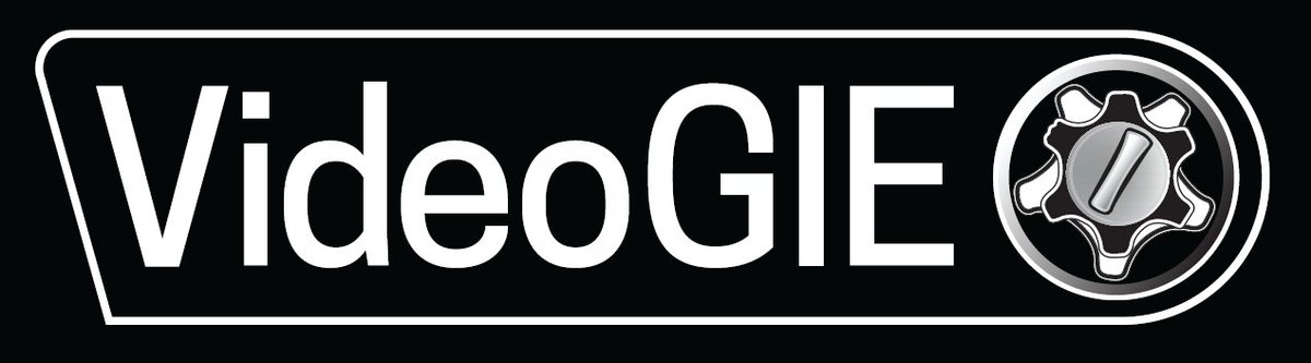 VideoGIE Journal tweet media