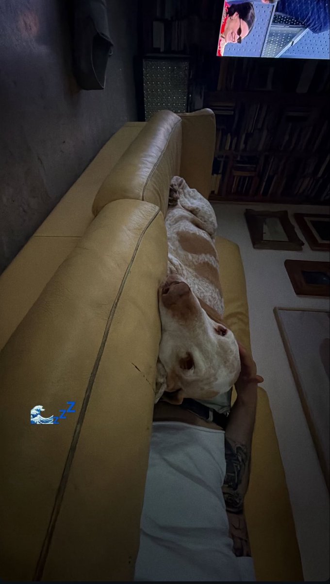 Sarò pazza ma io sono veramente debole