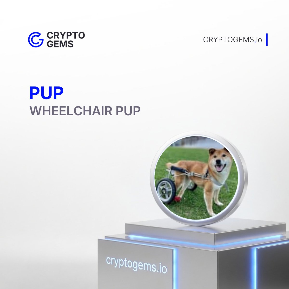 Crypto Gems tweet media