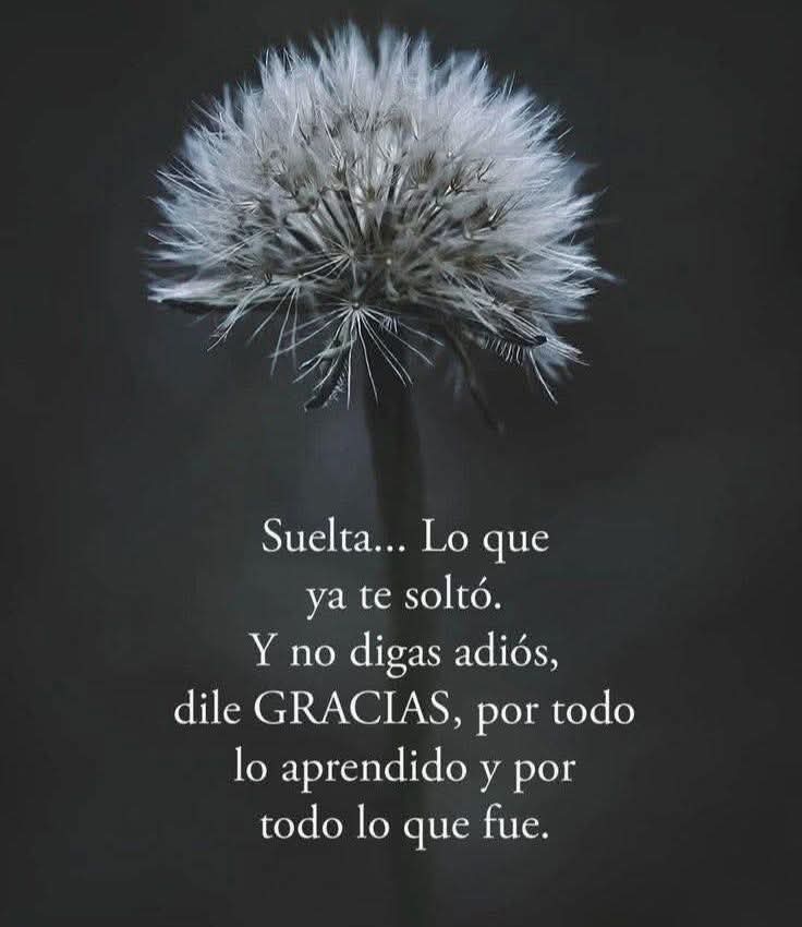 Sanando el Alma (@nemecistorres) on Twitter photo 