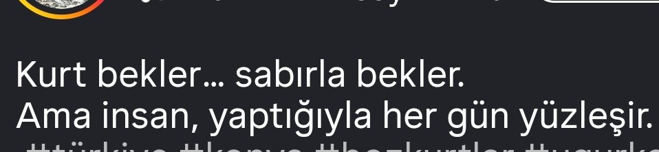 Mustafa Necati Muz tweet media