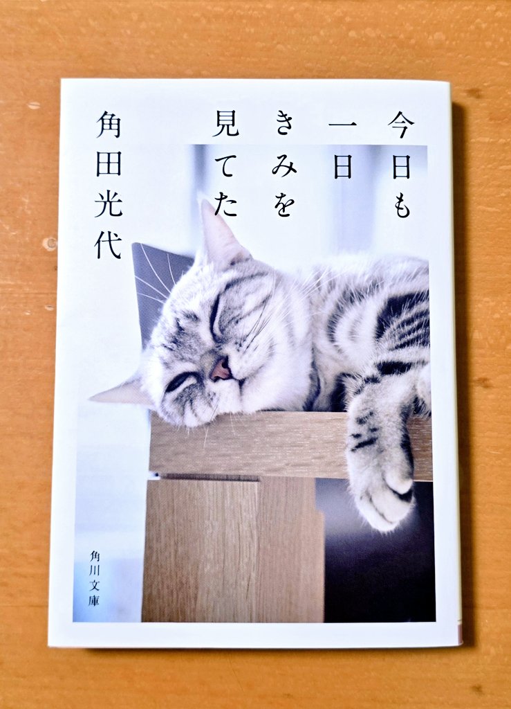 🐼SUPER∞麦子🍺 tweet media