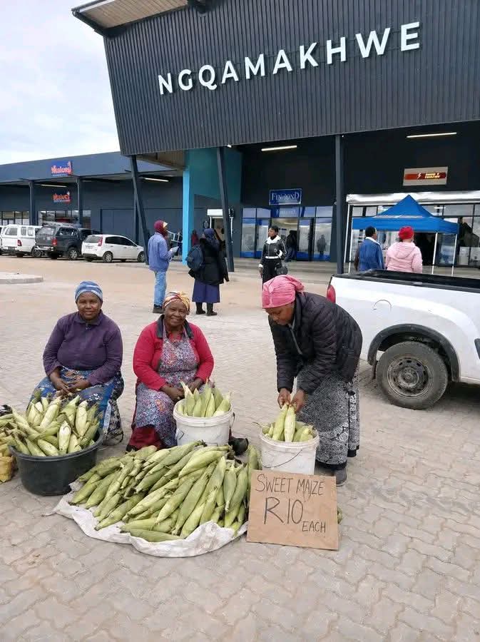 Constitution First 🇿🇦 tweet media