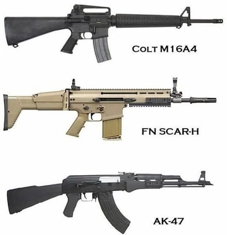 Gun Fanatics tweet media
