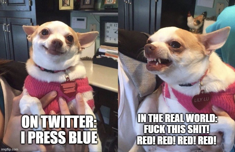 I'm probably wrong tweet media