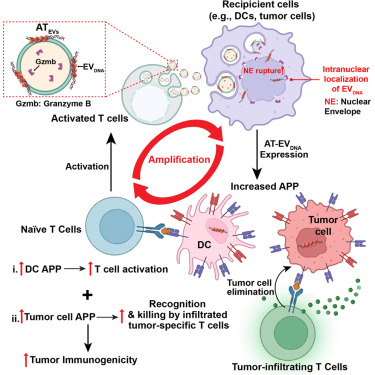 Cancer Cell tweet media