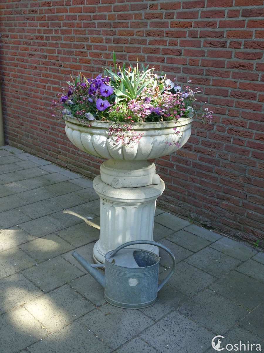Coshira_'s tweet image. Op de binnenplaats van het #Efteling #Museum staat een oude gieter bij een plantenbak.