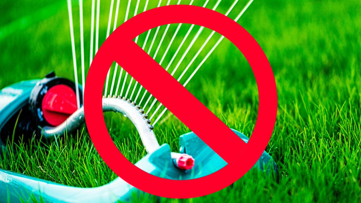 CityofVancouver's tweet photo. ⚠️ Stage 2 watering restrictions begin today.

🚫 No lawn watering for homes and businesses in Vancouver

🌳 Trees, shrubs and flowers can be watered if using an automatic or manual sprinkler at specific times of day. 

🥕 Vegetable gardens can be watered any time.

1/2 https://t.co/0Dz5FuGTLx