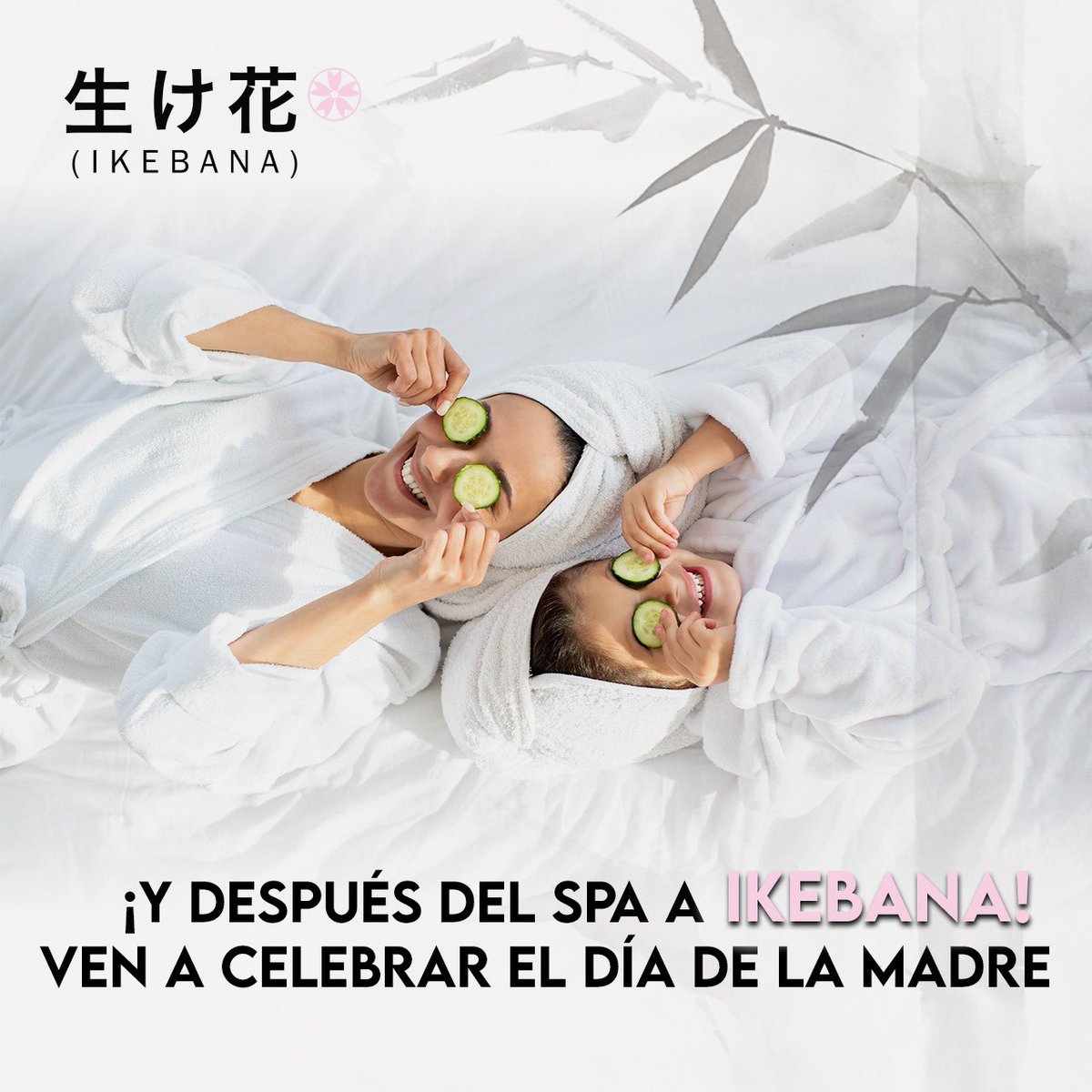 Ikebana Teppan tweet media