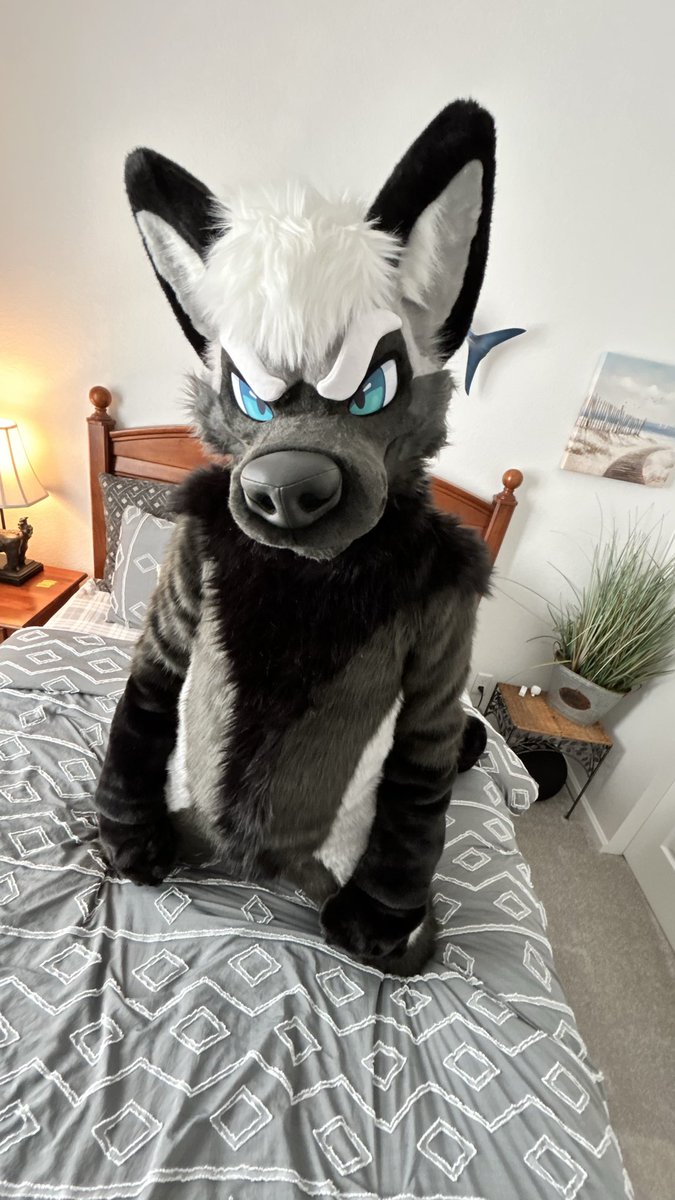 Lae @ Furlandia tweet media