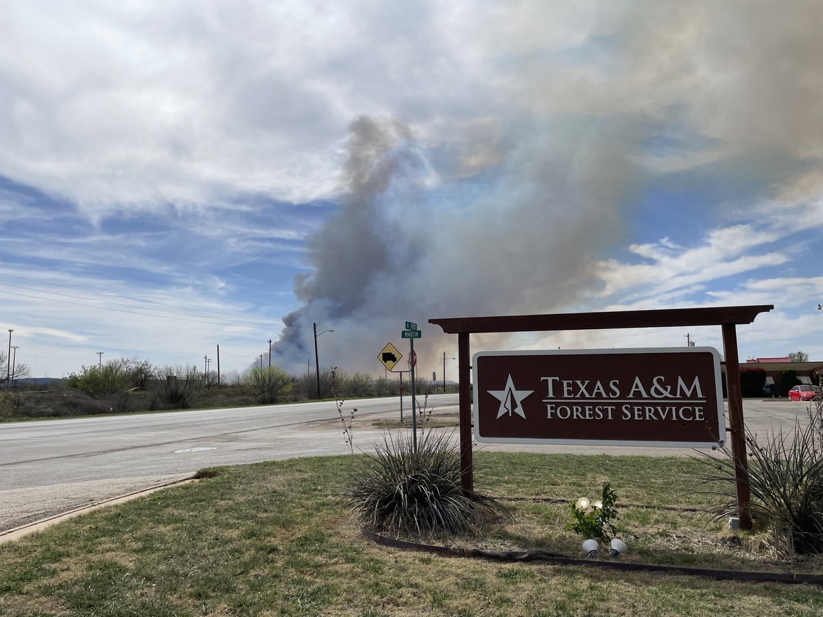 Texas A&M Forest Service tweet media