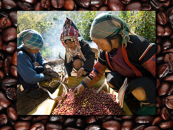 KingHarvsCoffee's tweet photo. https://t.co/fTg3Y2auOd
MAY COFFEE SALE

Lots of old favorites are back in stock!

FREE HALF POUND
With your purchase of 3 lbs or more, we will send you a FREE 1/2 lb of hidden treasure Honduras Organic Coffee beans

#coffeebeans #coffeeroaster #jbmcoffee #konacoffee https://t.co/AUWdfqOWZ3