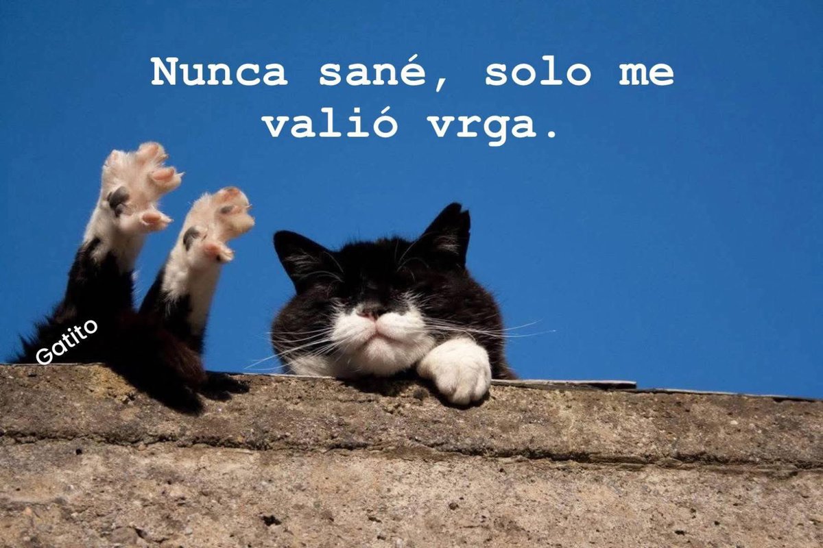 Lalito tweet media