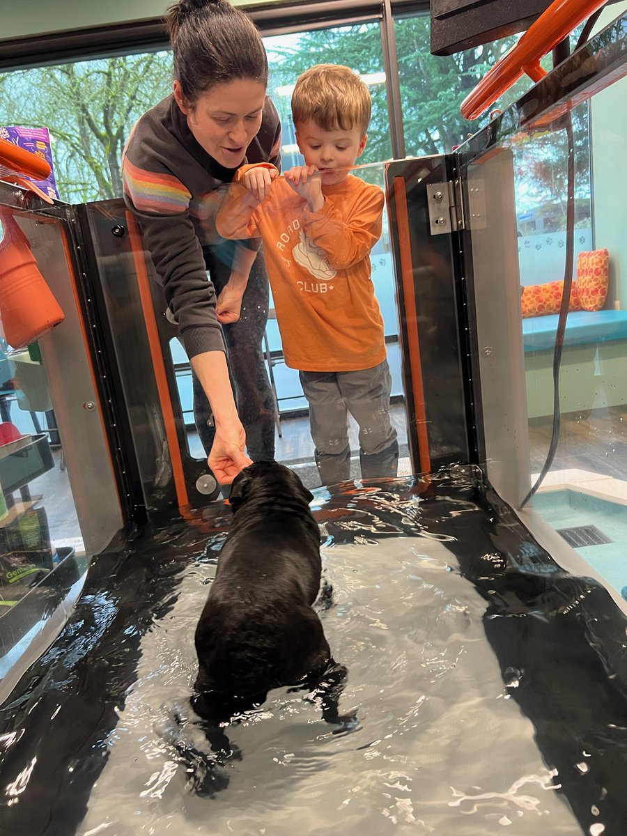 HealingArtsVet's tweet image. 🐾💙 Family-Friendly Care at Healing Arts

Daphne brought her boy along for a visit. 🥰 We’re proud to be a family-friendly practice, helping raise the next generation of pet lovers who learn how to care for their animals with kindness &amp;amp; compassion. 🐶🐱

#HealingArts #Beaverton