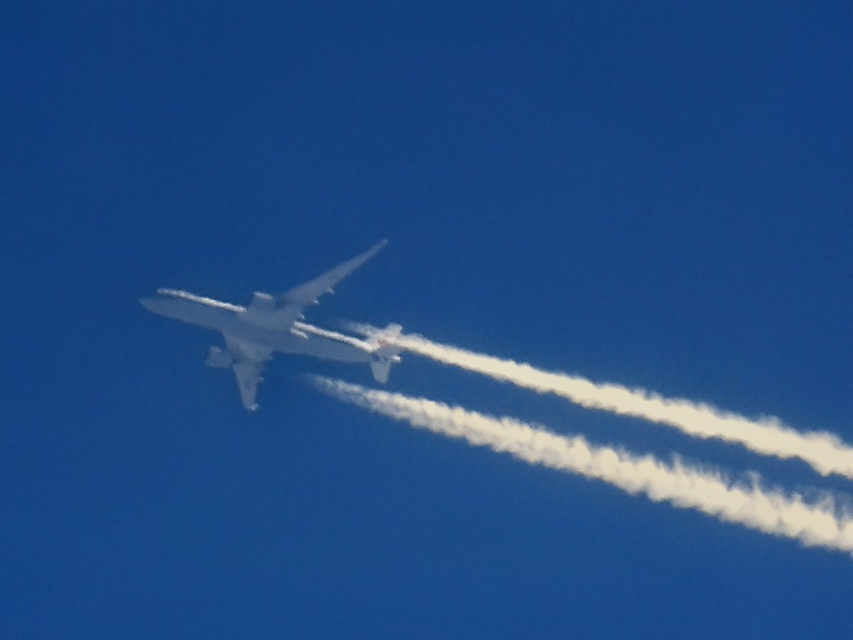 HPaluste's tweet image. Airplane
#blue #sky