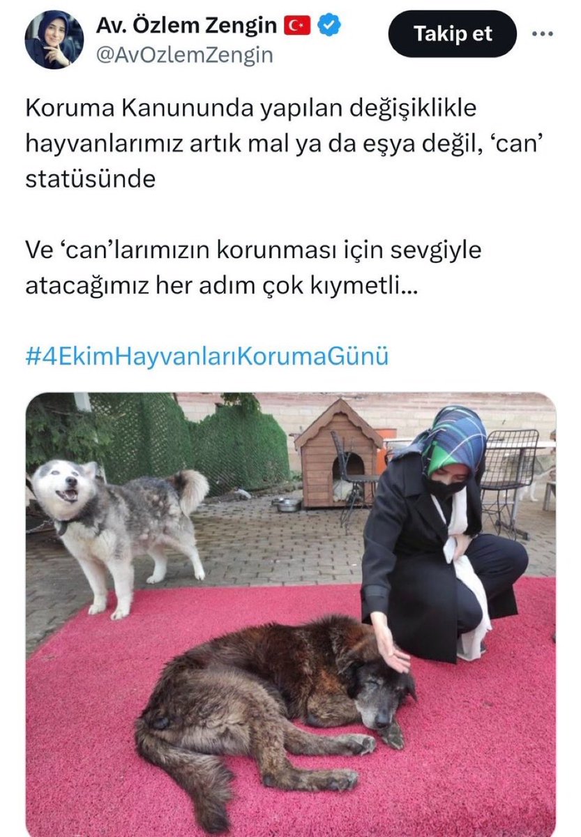 Huriye TEZGELEN tweet media