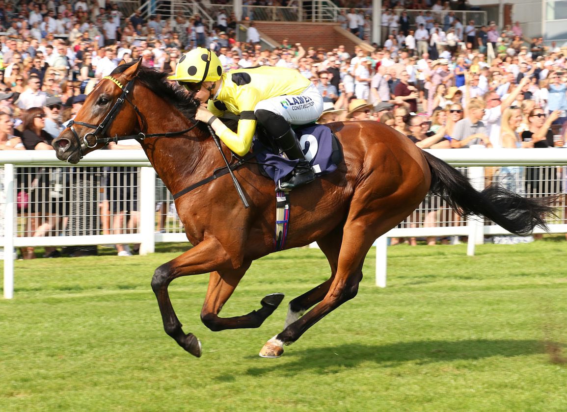 TBNTips's tweet photo. Newmarket 🐎

13:10 Sky Majesty 4/1

13:45 Double Rush 10/11 | Apollo One 18/1 EW

14:20 Bullet Point 5/1 EW

14:55 Asfoora 13/2 EW

15:35 Bow Echo 4/1

16:10 Naval Light 9/1 EW

16:45 Gamrai 7/4

17:20 Sierra Sands 3/1 | Nanoscience 4/1

17:55 Spanish Voice 7/1 EW https://t.co/J2Rdh5Bu5y