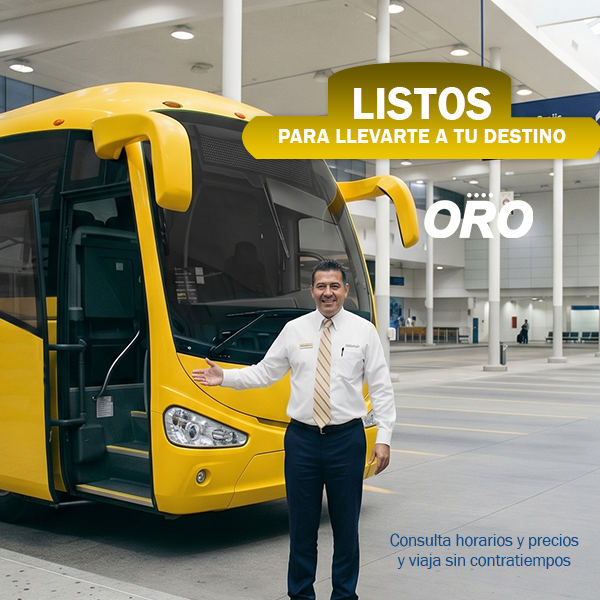 Autobuses ORO tweet media
