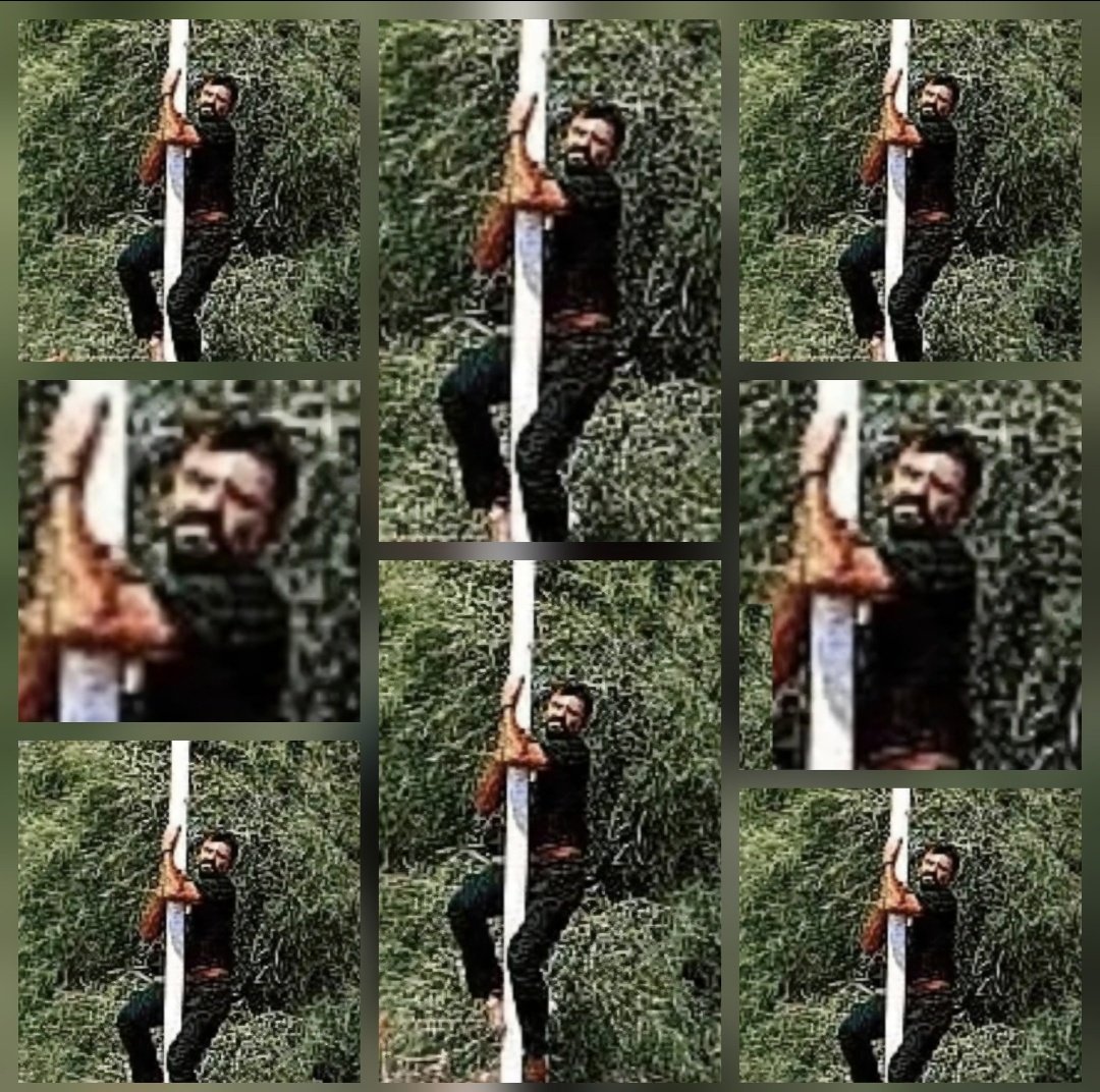 🐍 N. Dilbaz 🐍 tweet media
