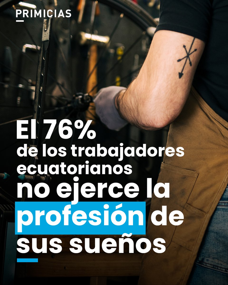 Un estudio laboral revela que el mercado absorbe mayoritariamente al talento en áreas comerciales o de ventas, alejadas de su formación académica. prim.ec/khUN50YTAc6