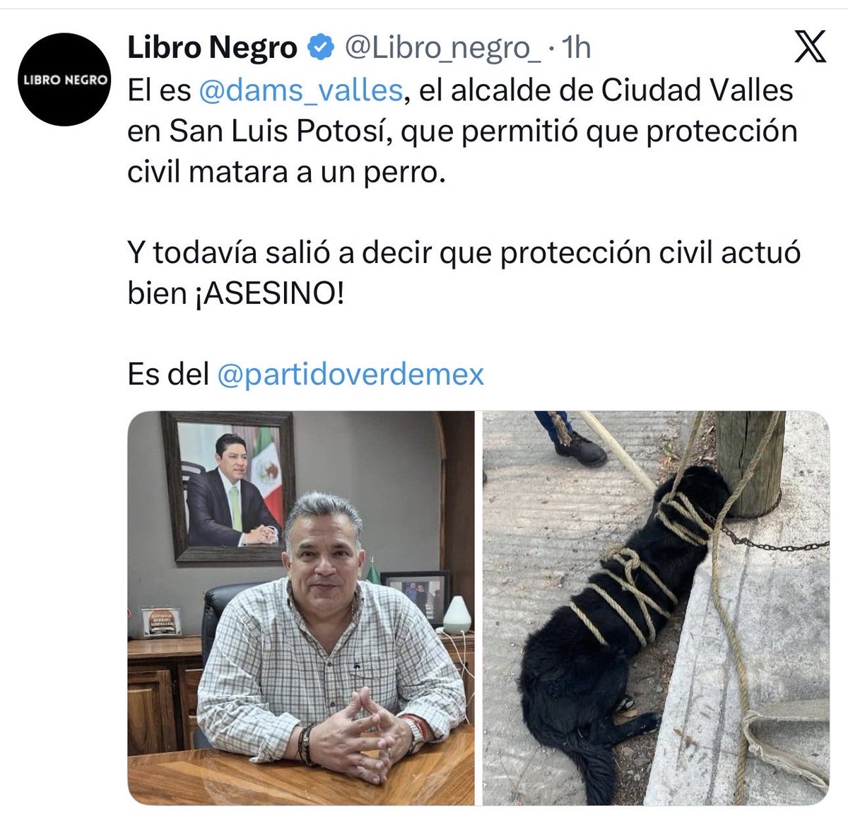 Mayra Suarez tweet media