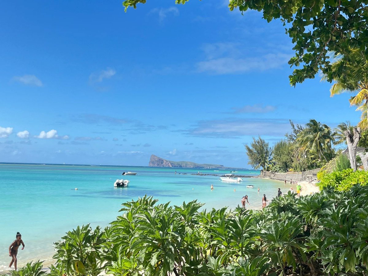 Mauritius Island tweet media