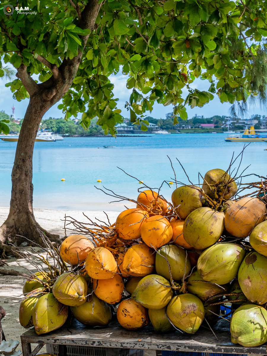 Mauritius Island tweet media